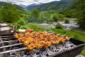 زغال کبابی دکسکول